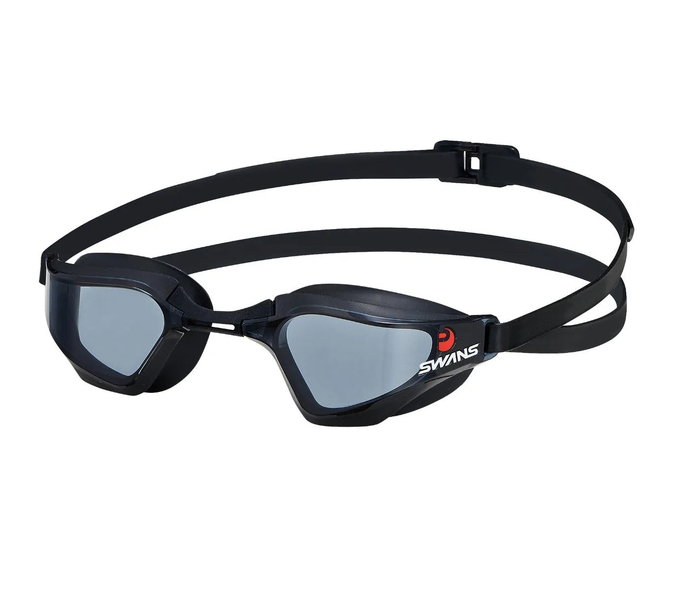 Valkyrie Goggles Black/Smoke